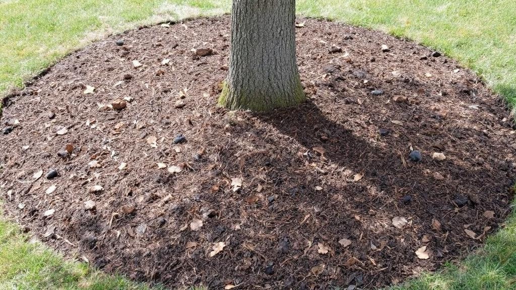 Tree Mulching Application - Professional Tree Services by Landscaping contractors