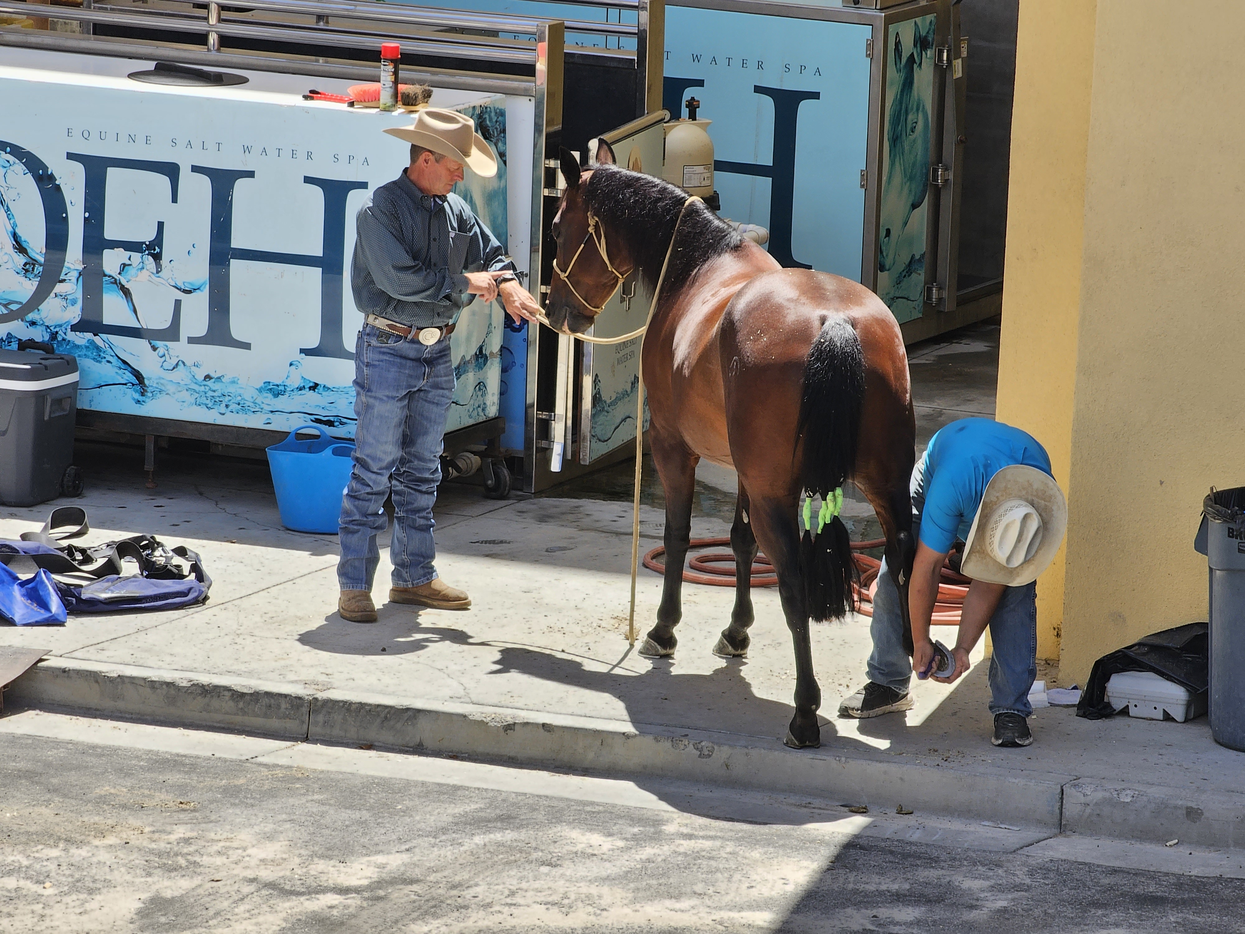 2024 South Point Hotel & Casino Las Vegas, NV