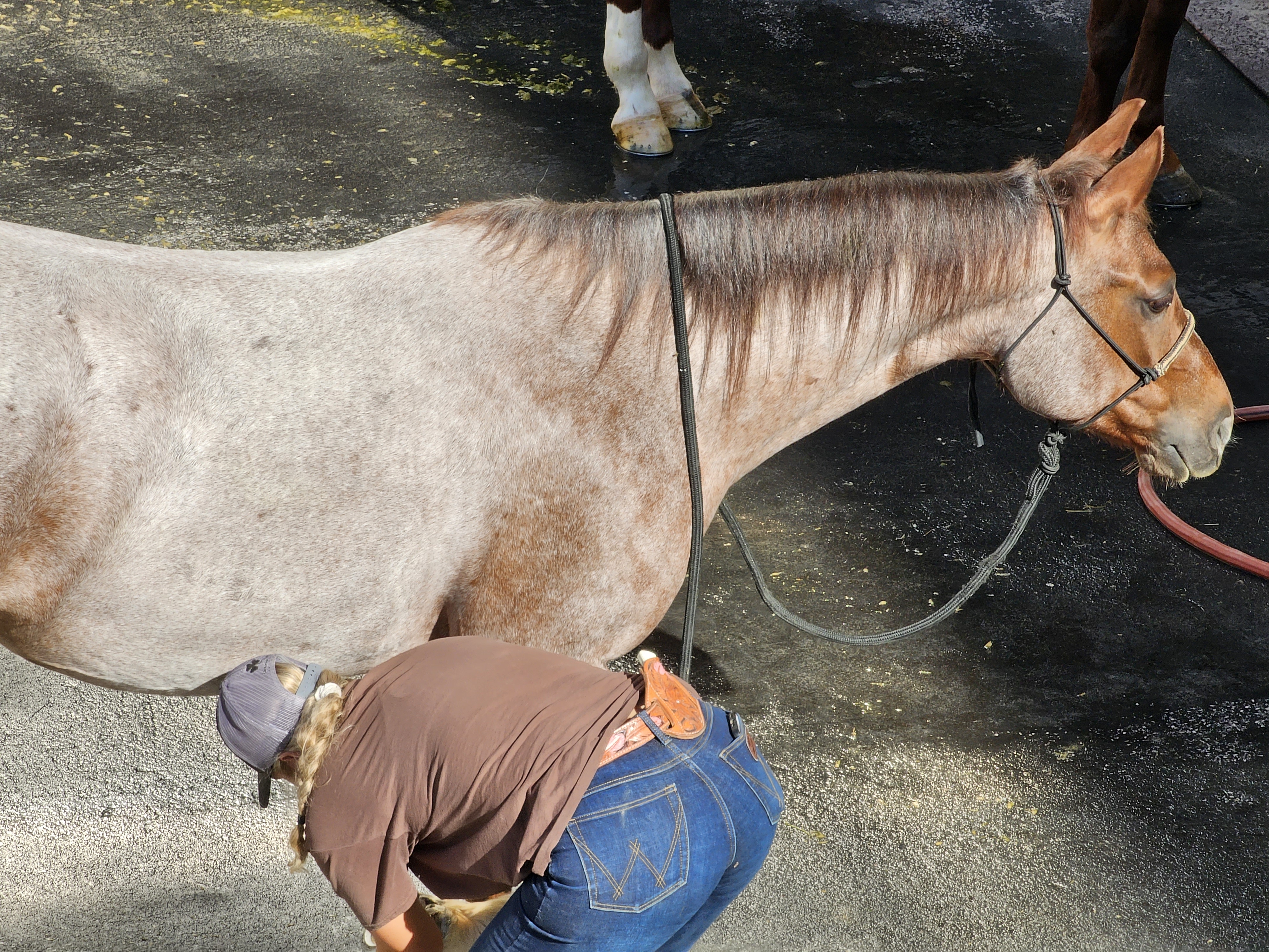2024 South Point Hotel & Casino Las Vegas, NV