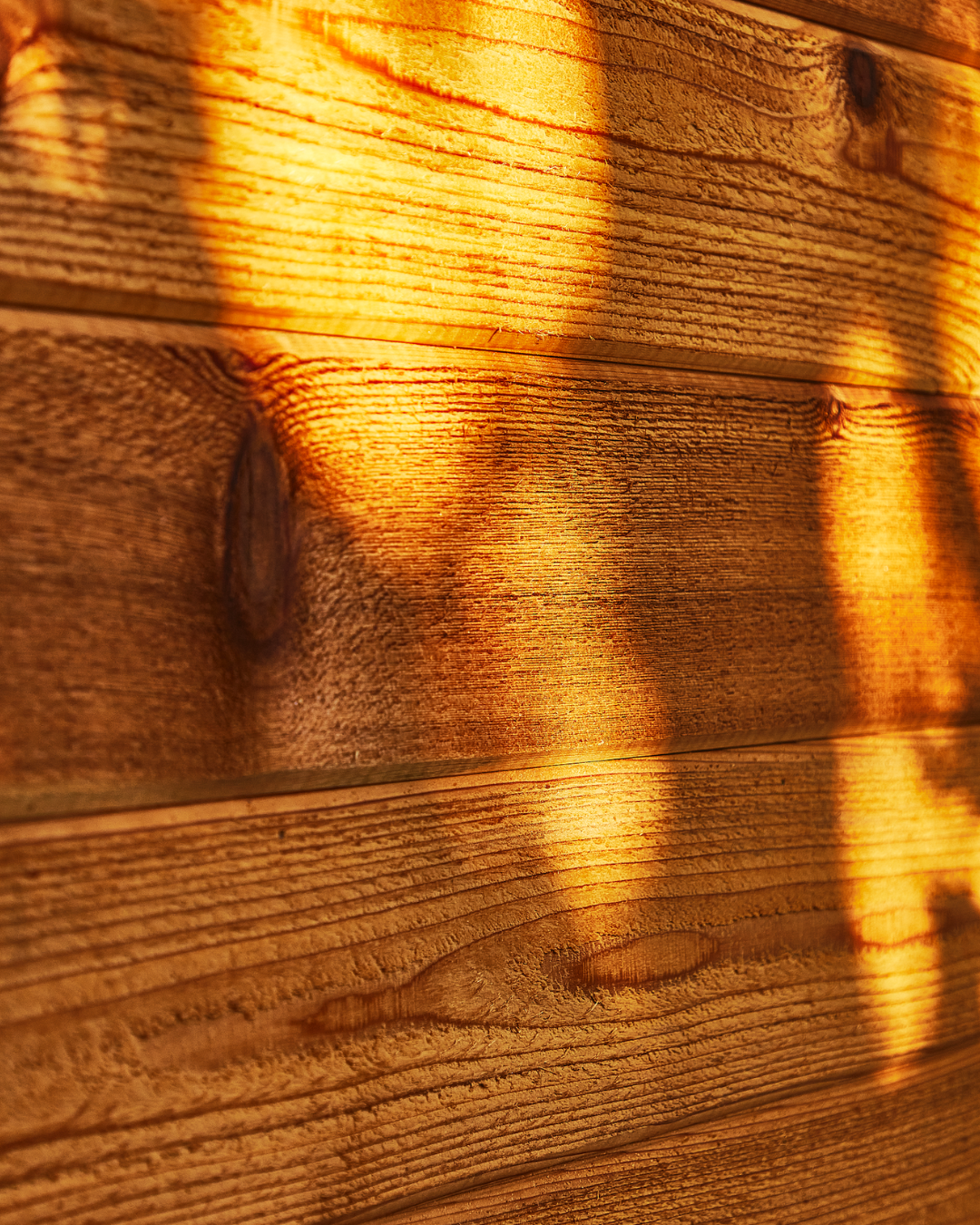 Wood Defender gallery
